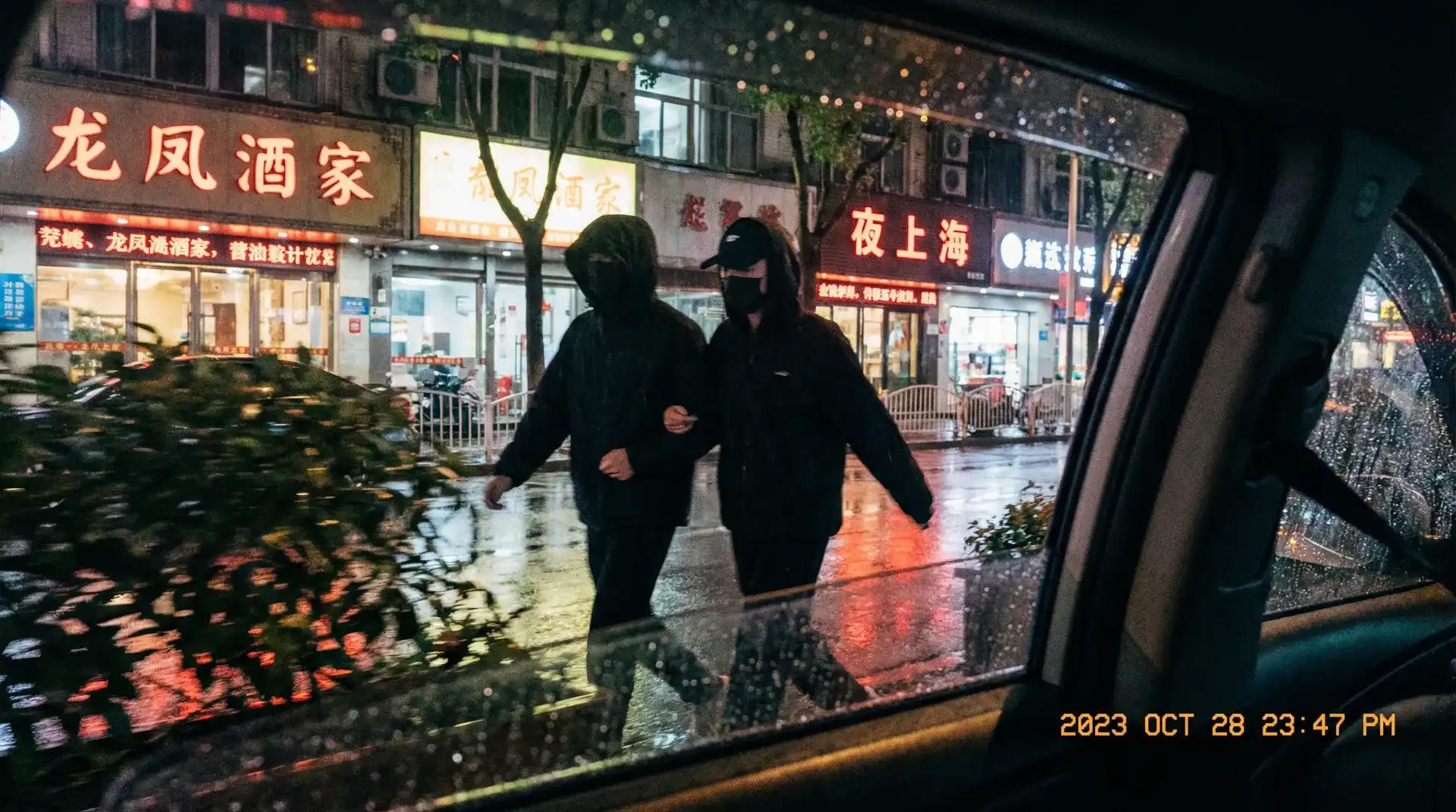 我的特一营全集下载 - 顶流明星深夜密会现场抓拍照片